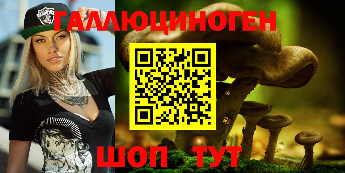 Псилоцибиновые грибы мицелий Новоалександровск