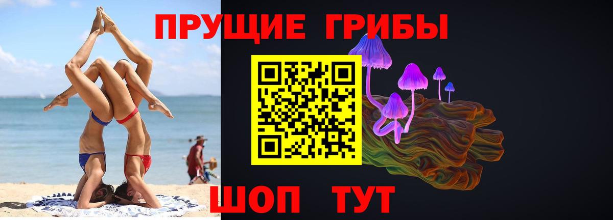 Новоалександровск  Галлюциногенные грибы MAGIC MUSHROOMS  купить наркоту  Вход с VPN 